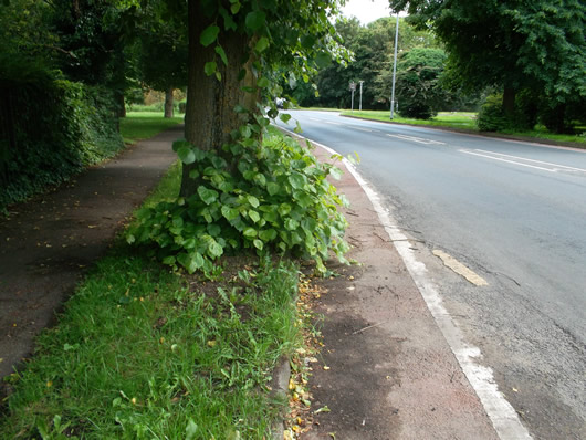 Wimbington Road � Barkers Lane Bus Stop
